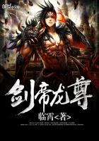剑帝龙尊封面